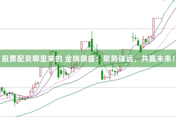 股票配资哪里来的 金瑞鼎盛：聚势谋远，共赢未来！