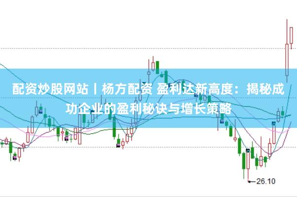 配资炒股网站丨杨方配资 盈利达新高度：揭秘成功企业的盈利秘诀与增长策略