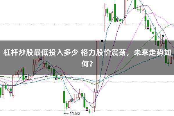 杠杆炒股最低投入多少 格力股价震荡，未来走势如何？