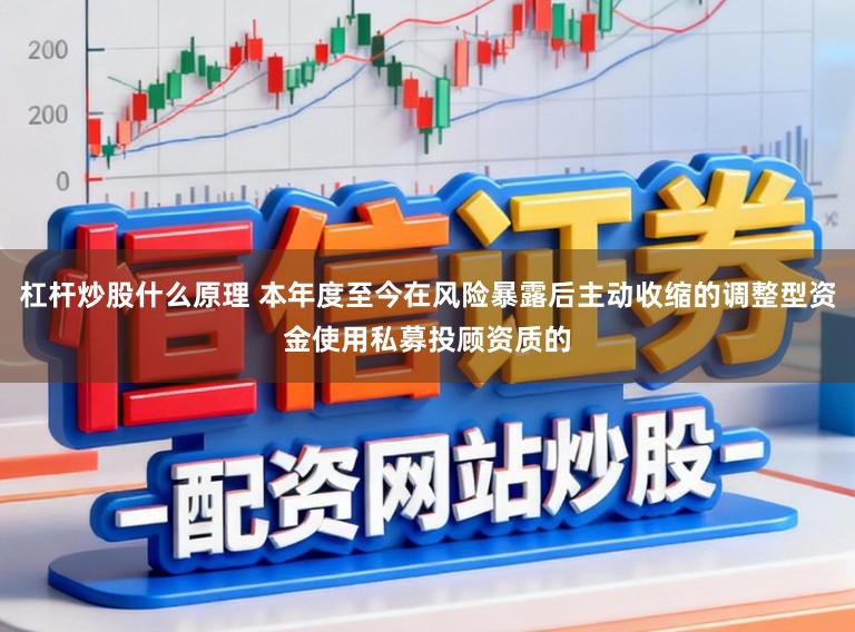 杠杆炒股什么原理 本年度至今在风险暴露后主动收缩的调整型资金使用私募投顾资质的