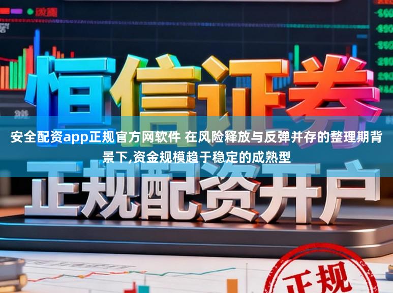 安全配资app正规官方网软件 在风险释放与反弹并存的整理期背景下,资金规模趋于稳定的成熟型