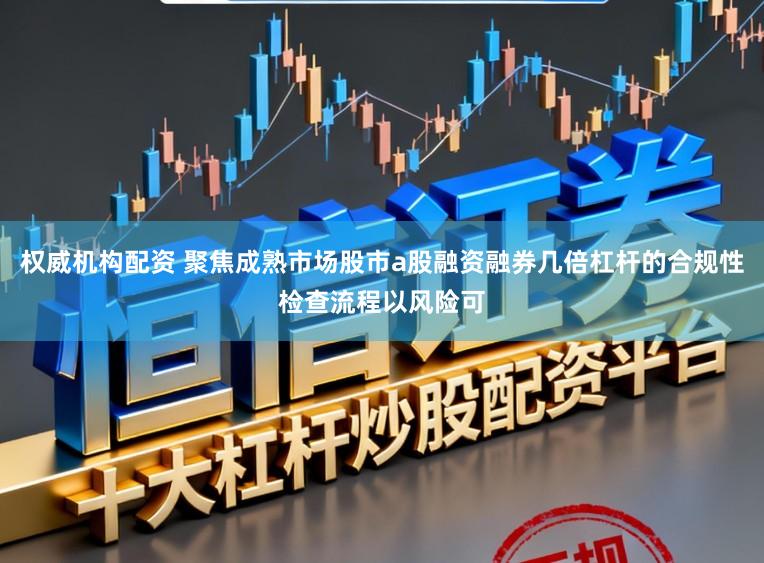 权威机构配资 聚焦成熟市场股市a股融资融券几倍杠杆的合规性检查流程以风险可