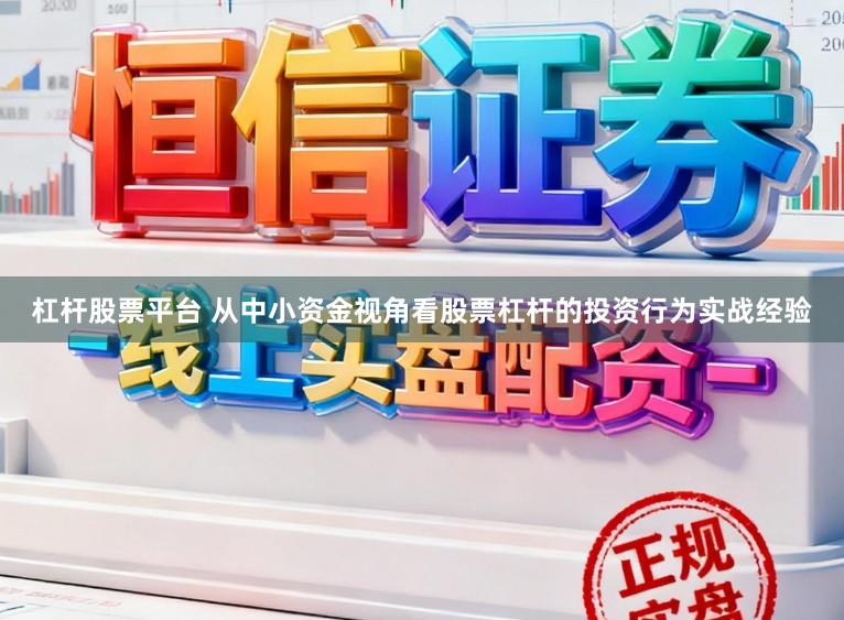 杠杆股票平台 从中小资金视角看股票杠杆的投资行为实战经验
